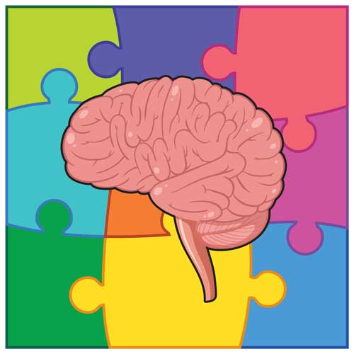 How Does an Autistic Brain Work?